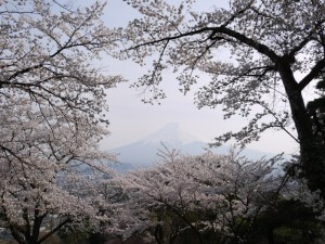 富士見孝徳公園１